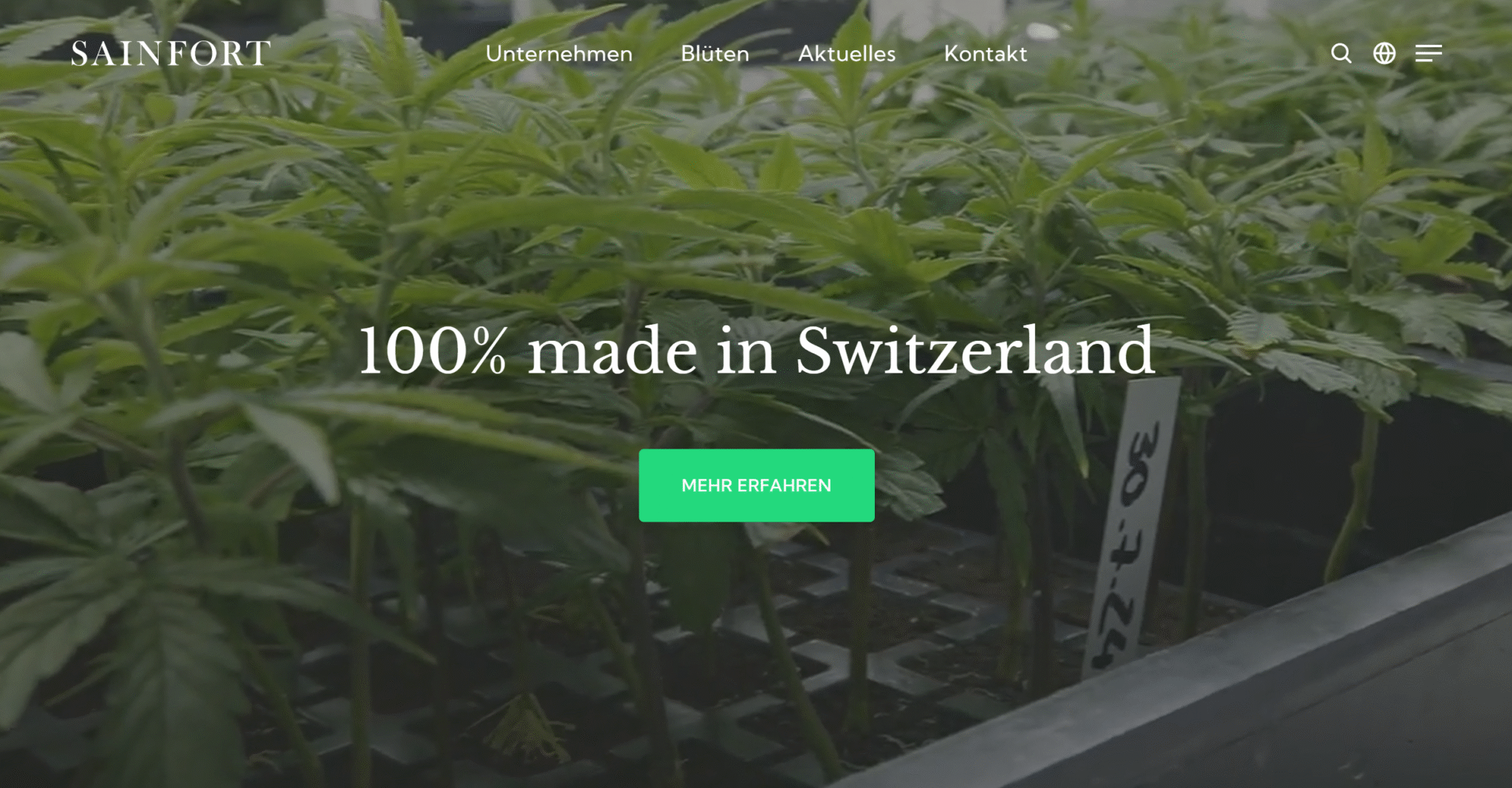 Medizinisches Cannabis Schweiz